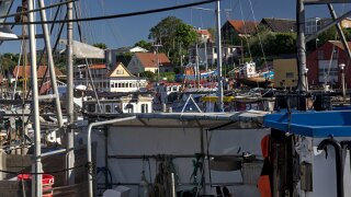 Odden