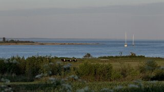 Årøsund