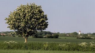 Agerhøjvej
