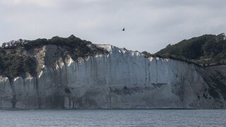 Møns Klint