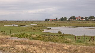 Skanör