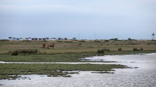 Skanör