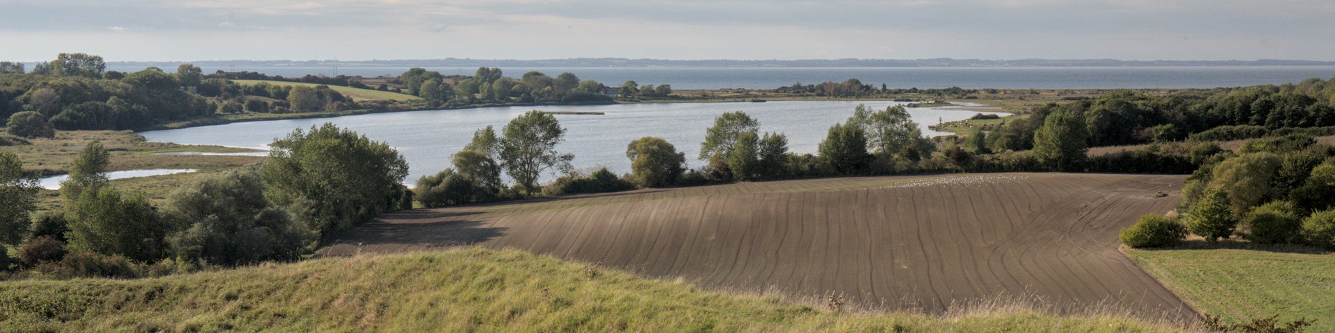 Herbst 2025 rund Fynen