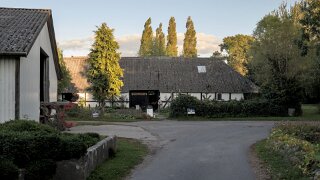 Avernakø