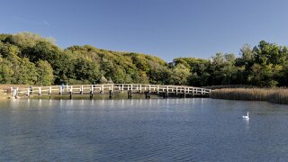 Glücksburg