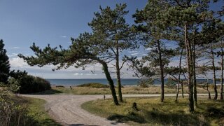 Ærø