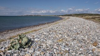 Ærø