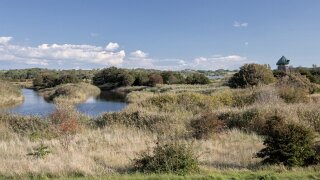 Ærø