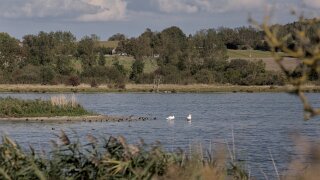 Ærø