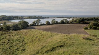 Ærø