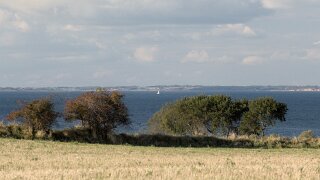 Ærø