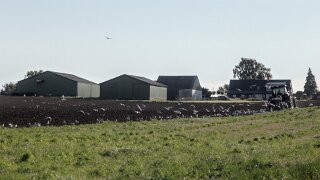 Ærø