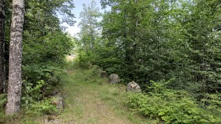 Håøya