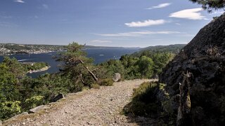 Håøya