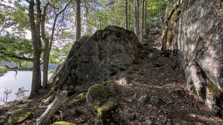 Håøya