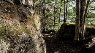 Håøya