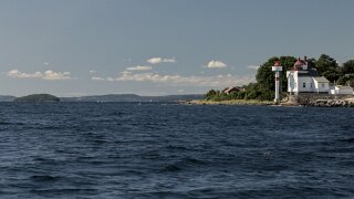 Filtvet fyr
