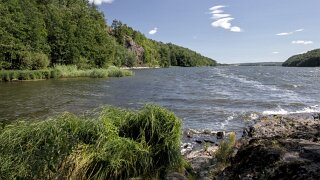 Borrevannet