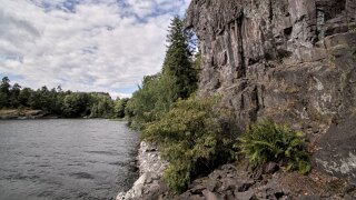 Borrevannet