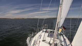 Hvaler