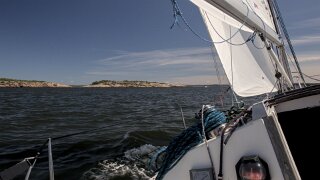 Hvaler
