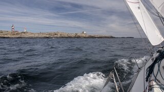 Måseskär