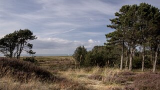 Læsø