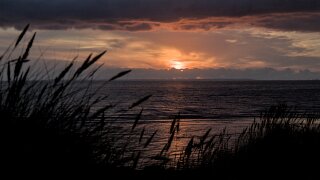 Læsø