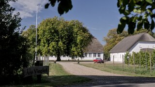 Årø Vingård